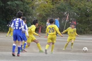 2 (800x535).jpg