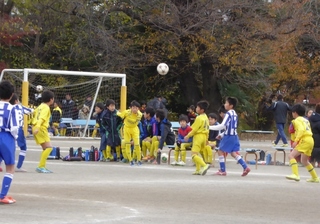 3 (800x561).jpg