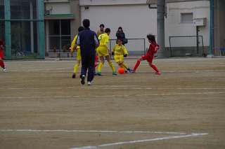 IMGP7851.jpg