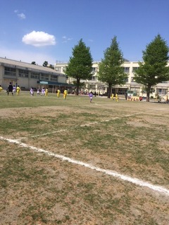 IMG_1278.jpg
