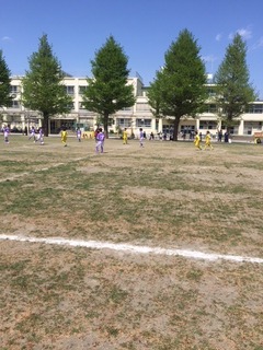 IMG_1279.jpg