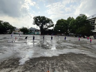 IMG_20210530_145804.jpg