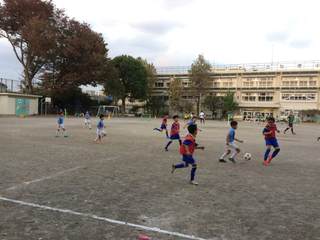 IMG_2282.jpg