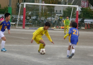 P1000616_xlarge (800x558).jpg