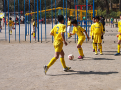 P3090669-b.jpg