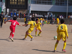 P3090716-b.jpg