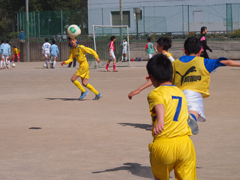 P3090746-b.jpg