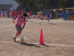 P3090761-b.jpg