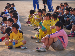 P3090858-b.jpg